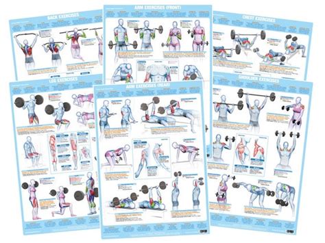 Bodybuilding Chest Exercises Chart