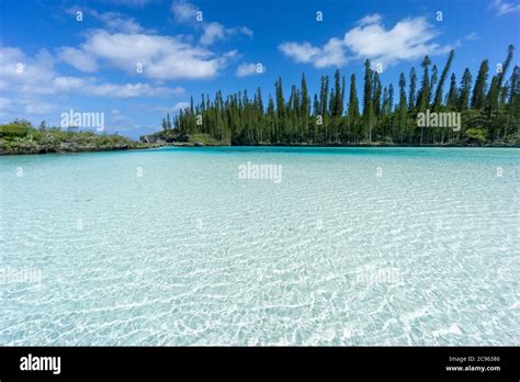 Beautiful Seascape Of Natural Swimming Pool Of Oro Bay Isle Of Pines