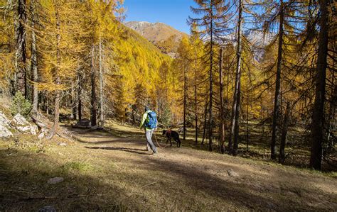 Der Rundweg am Vernagter Stausee Bergfreaks schönsten Orte