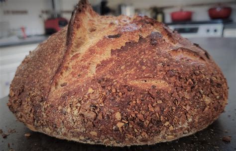 Grass Bread The Fresh Loaf