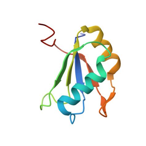 RCSB PDB 2NZ4 Structural Investigation Of The GlmS Ribozyme Bound To