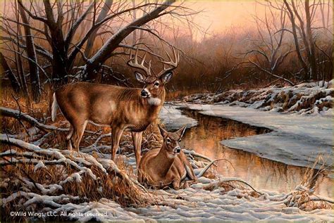 Cerfs Biches Faons Chevreuils En Peinture Et Illustrations