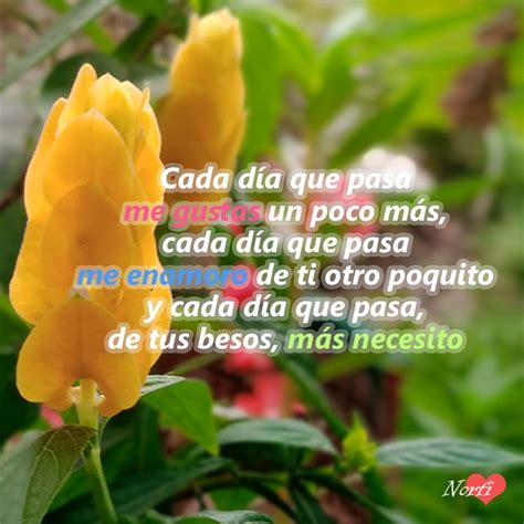 Cada día me enamoro más de ti frases y poemas de amor