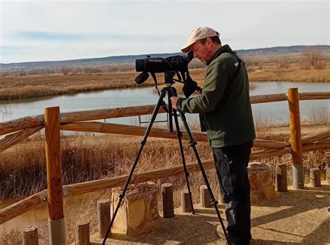 La escasez de agua en la Laguna del Cañizar merma el censo de aves