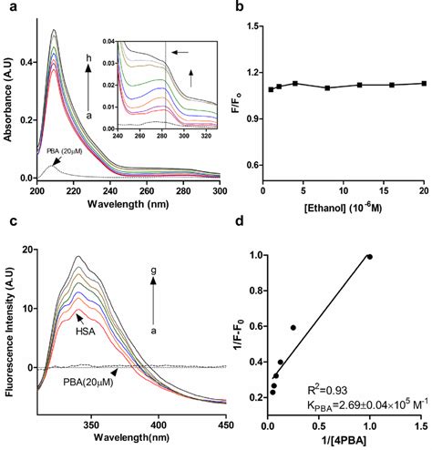 Interaction Of Pba With Hsa A Uv Vis Spectra Of Hsa In Presence Of