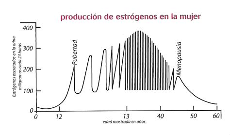 Atrofia Vaginal Egolala Eroteca Valencia Tienda Er Tica Y Sex Shop