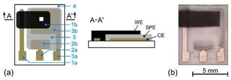 Polymers Free Full Text Solvent Evaporation Rate As A Tool For