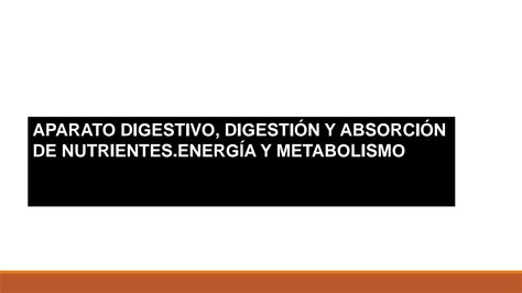 SOLUTION Aparato Digestivo Digesti N Y Absorci N De Nutrientes Energ A