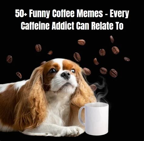 50+ Funny Coffee Memes - Every Caffeine Addict Can Relate To