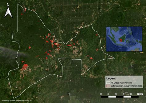 Just Two Companies Drive 77 Of Deforestation In Indonesias Industrial