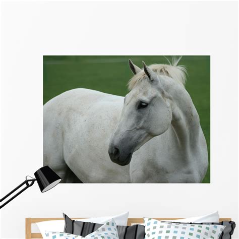 White Horse Wall Mural By Wallmonkeys Peel And Stick Graphic 48 In W X