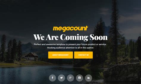 Megacount