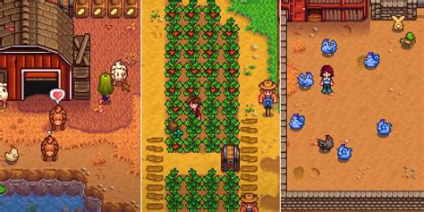 Best Ways To Level Up Farming Skill In Stardew Valley