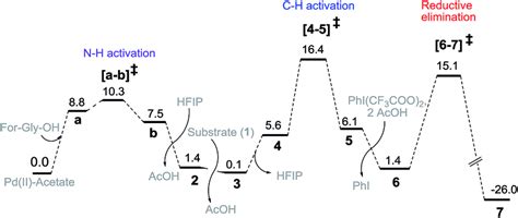 Gibbs Free Energy Profile Kcal Mol⁻¹ Of The Meta Hydroxylation Download Scientific Diagram