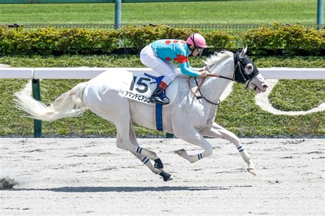 Netkeiba On Twitter 【東京 2歳新馬】 5r ノヴァエクスプレス 芝1400 菅原明良 父アジアエクスプレス 母