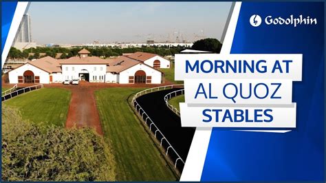 Another glorious morning at Godolphin's Al Quoz Stables in Dubai - YouTube