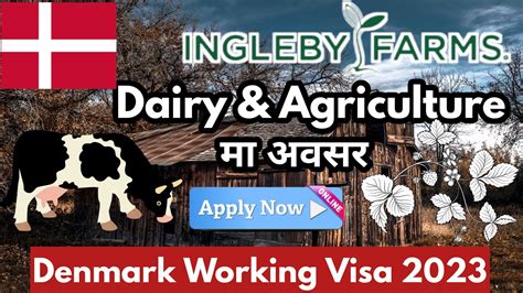 Denmark Work Visa For Nepali How To Apply Denmark Work Visa From