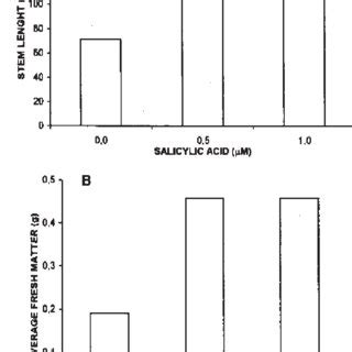 Effect Of Salicylic Acid On The Stem Length And Fresh Matter Of Ullucus