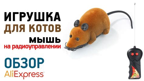 МЫШЬ НА РАДИОУПРАВЛЕНИИ с Алиэкспресс Обзор игрушка для кошек Mouse Cat ...
