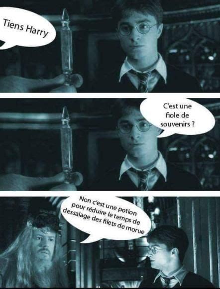 Memes Compl Tement Absurdes Sur Harry Potter Harry Potter Trucs