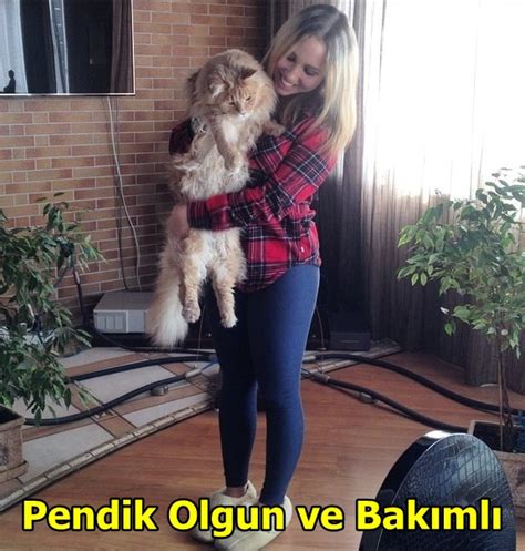 Pendik Olgun ve Bakımlı Escort Bayan Yasemin