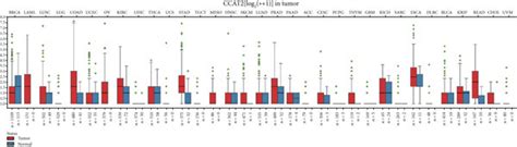 Ccat2 Expression Profile Across Tumor Samples And Adjacent Normal