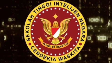 Tata Cara Dan Tahap Registrasi Akademi Intelijen Negara Atau Stin Tahun