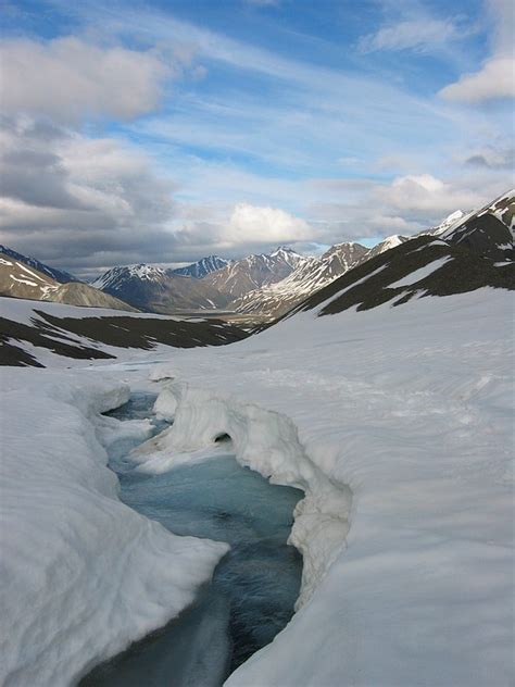 Denali National Park Alaska Winter - Free photo on Pixabay