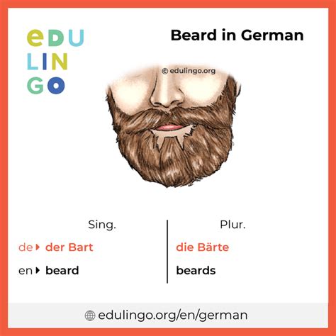 Beard In German Writing And Pronunciation With Pictures