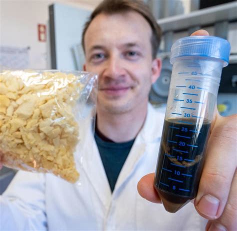 Plastic Waste Enzymes Are Said To Alleviate The Waste Problem Eco