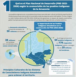 El Papel De Los Pueblos Ind Genas En El Plan Nacional De Desarrollo