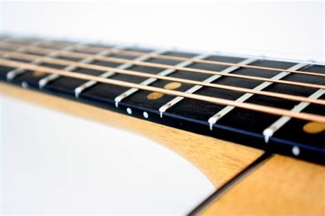 Fretboard Types Everything You Need To Know Guitar Skills Planet