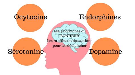 Influence des substances sur le système nerveux effets des Drogues