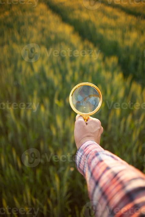 How searching the Gardenview obituaries surprises researchers 9