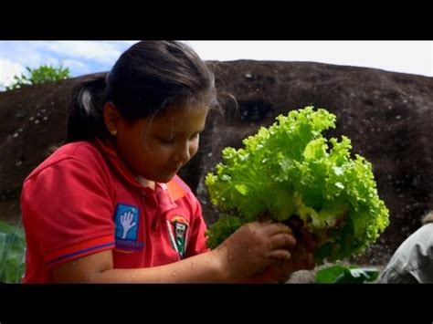 Tv Agro Te Acerca Al Campo Beneficios De Las Huertas Escolares