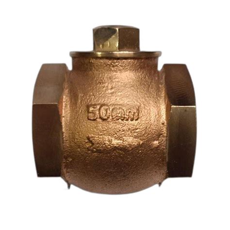 Medium Pressure Gun Metal Mm Parko Horizontal Check Valves Threaded