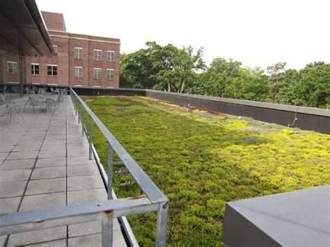 Extensive Green Roof Design