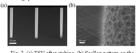 Figure From Completely Filling Of Through Silicon Vias With High