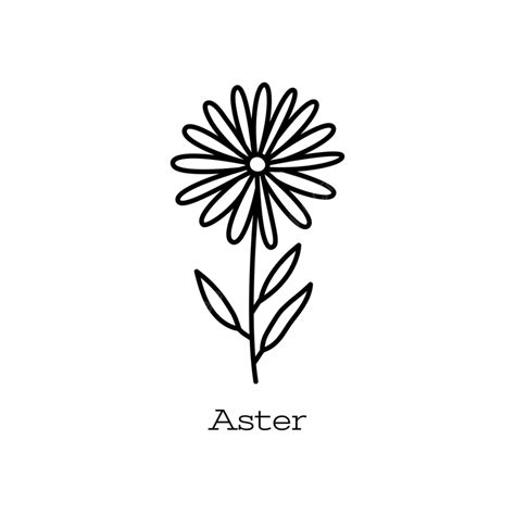 Aster Flower Black White Doodle Flower Drawing Doodle Drawing Flower