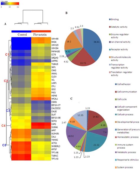 A Represents The Heat Map Of All The Differentially Regulated Proteins