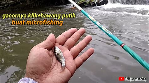 Microfishing Dengan Umpan Klik Bawang Putih Strike Wader Dan Uceng