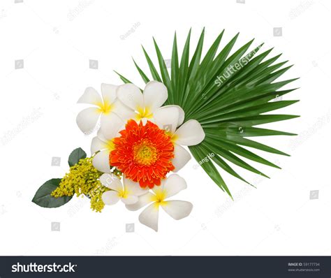 The Good-Luck Flower Bouquet Stock Photo 59177734 : Shutterstock