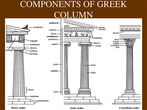 Ppt Greek Architecture Orders Columns Powerpoint Presentation Id