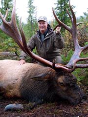 Vancouver Island Roosevelt Elk Hunts North Vancouver Island Hunting