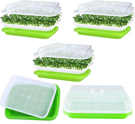 Casewin 5 Pack Seed Sprouter Tray With Lid Nursery Seedling Seed