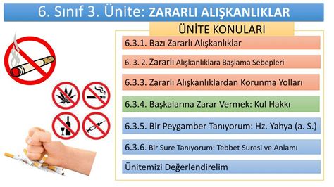 S N F Nite Zararli Ali Kanliklar Ppt Indir