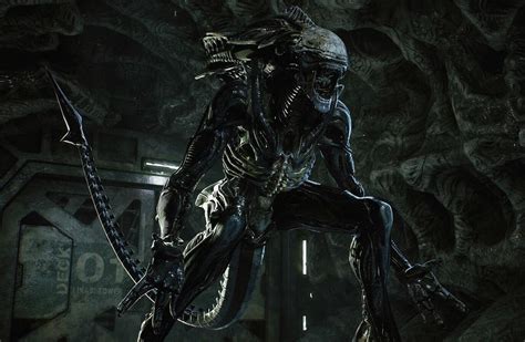 Xenomorph Life Cycle: A Guide To Alien Evolution | AvP Central