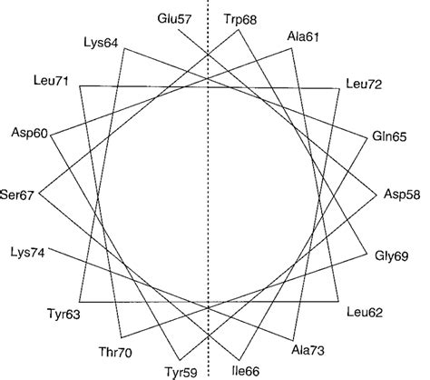 Helical Wheel Presentation Of The Amphipathic C Helix The