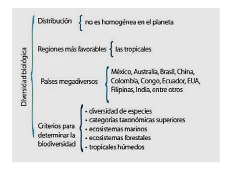 Cuadro Sinoptico De La Biodiversidad