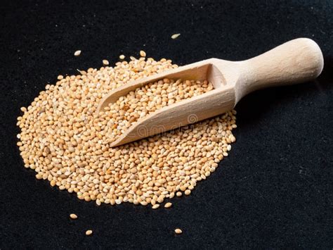 Proso Millet Grains In Round Bowl Cutout Stock Photo Image Of Food